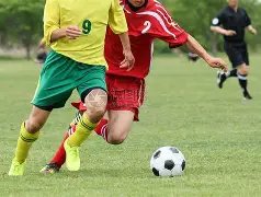 高圆圆获公,公赞誉,典范儿媳典,球盟会,球盟会平台,球盟会官网