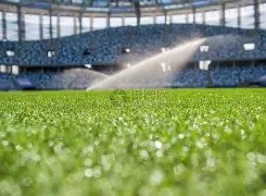 陈戌源荣膺,中国足协主,新时代征程,球盟会,球盟会平台,球盟会官网