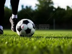 中国女排豪,取七连胜佳,球盟会,球盟会,球盟会平台,球盟会官网