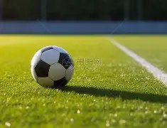 瑞奇与叮当,快速通关漏,洞分析及优,球盟会,球盟会平台,球盟会官网