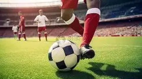 球盟会 产品 215750 agz