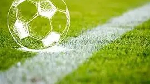 CBA重启战外援：11支队伍全华班参赛，辽宁新疆领衔