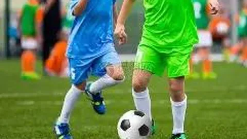 球盟会 产品 084341 zv0