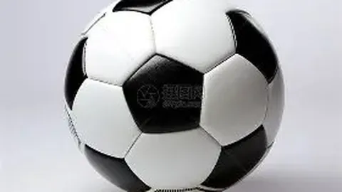 球盟会 资讯 093604 wud